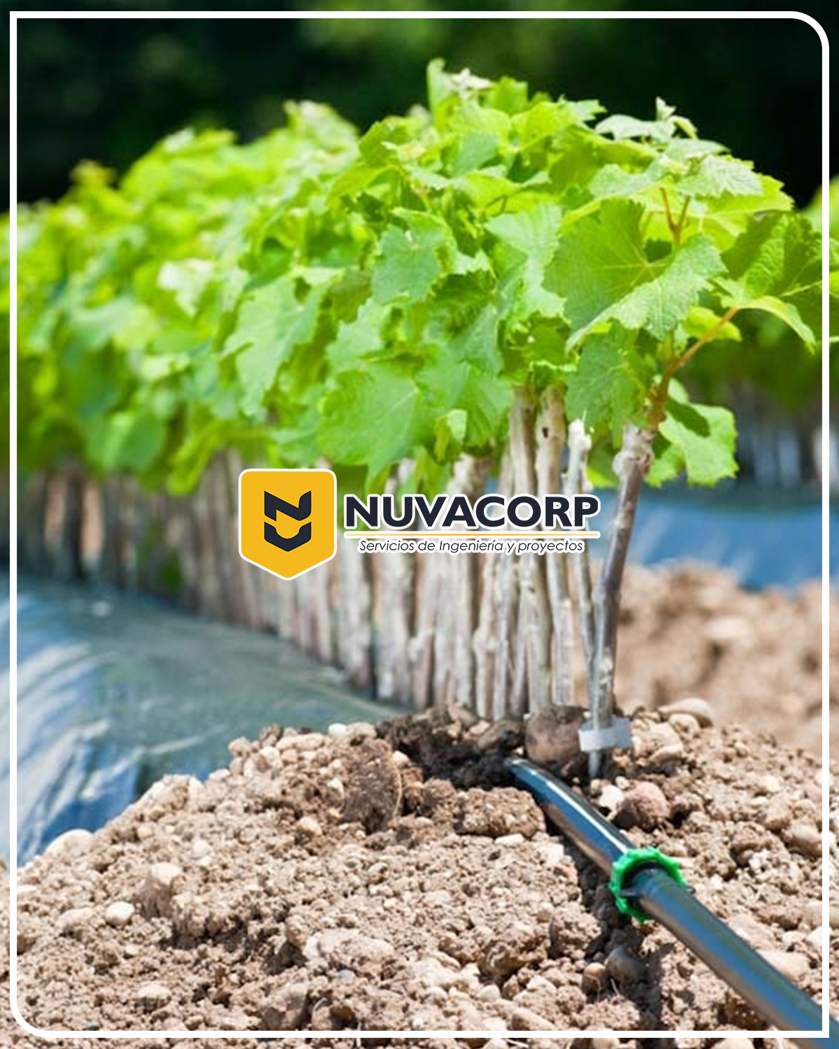 empresa de riego tecnificado en lima peru nuvacorp