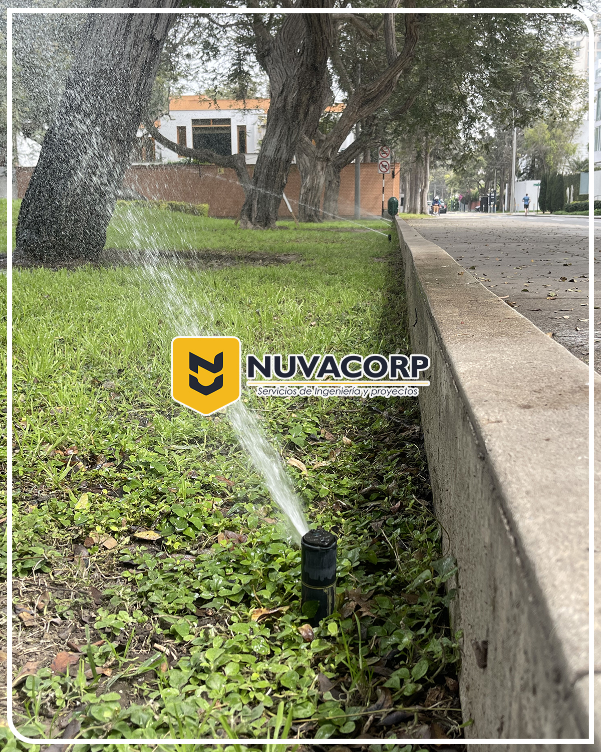 implementacion de riego tecnificado