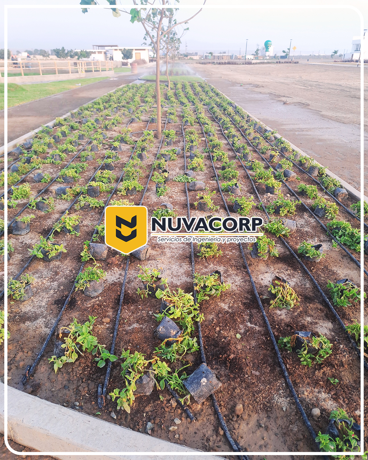 riego tecnificado en peru nuvacorp